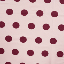 French Terry small dots poudre