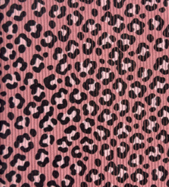 Baby rib cord LEOPARD