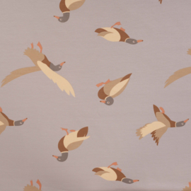 Qjutie French Terry Ducks sand