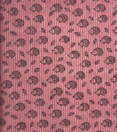 Baby rib cord little HEDGEHOGS