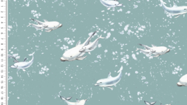 Tricot digital toff Dolphin