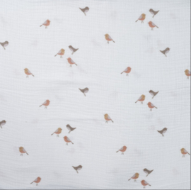 Hydrofiel Birds