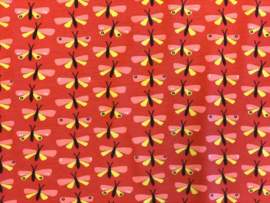 Tricot Papillon