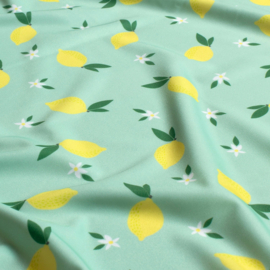 Swimwear Jersey digitaal bedrukt Fruit & vruchten