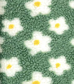 Teddy Daisy