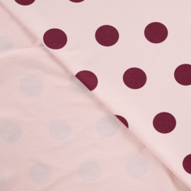 French Terry small dots poudre