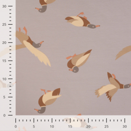 Qjutie French Terry Ducks sand