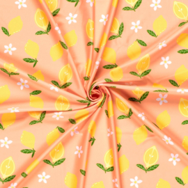 Swimwear Jersey digitaal bedrukt Fruit & vruchten