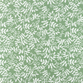 Poplin printed Ivy
