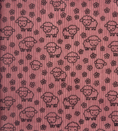 Baby rib cord little SHEEP