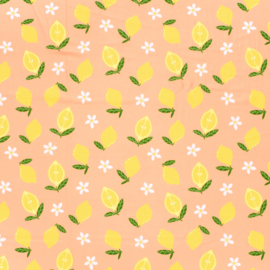 Swimwear Jersey digitaal bedrukt Fruit & vruchten