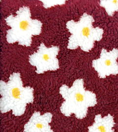 Teddy Daisy