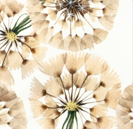 Snoozy fabrics Tricot digital printed Bloem groot