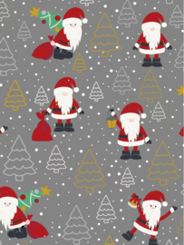 Tricot print Toff Santa