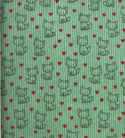 Baby rib cord little FOXES