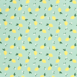 Swimwear Jersey digitaal bedrukt Fruit & vruchten