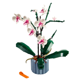 Lego 10311 Orchidee