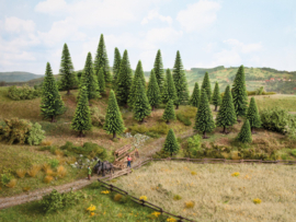 Noch 26825 Dennebomen 25 stuks, 5 - 14 cm hoog