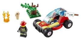 60247 Bosbrand