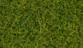 Noch 07112 Wildgras XL lichtgroen, 12 mm,  40 g