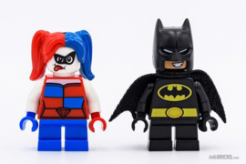 76092 Batman vs Harley Quinn