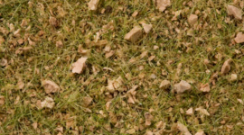 Noch 07075 Mastergrass-mengsel “Alpenweide” 2,5~6 mm  50gram