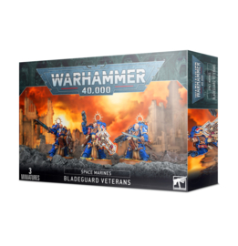 Warhammer 40K 48-44 Bladeguard Veterans