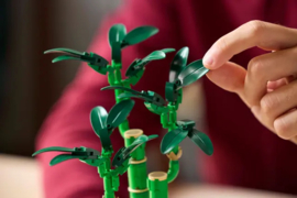 Lego 10344 Bamboe