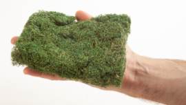 Noch 07310 PROFI struik medium groen
