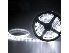 LED Strip 12V 4000K 5m 60led/m