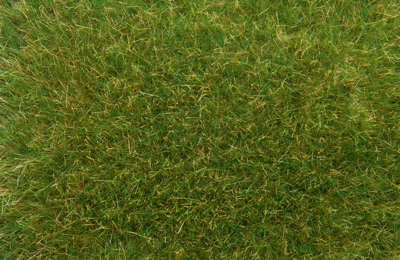 Noch 07718 Wildgras 9mm, 50gr