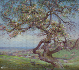 Bloeiende appelboom, 1000st