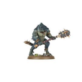 Warhammer AOS 70-19 Spearhead Seraphon