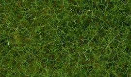 Noch 07102 Wild gras lichtgroen, 6 mm,50 g