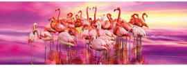 Panorama Puzzel Flamingos, 1000st