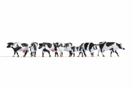 Noch 15725 Koeien, zwart en wit