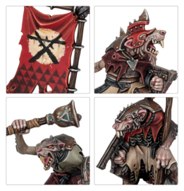 Warhammer AOS 80-15 Warrior Starter Set