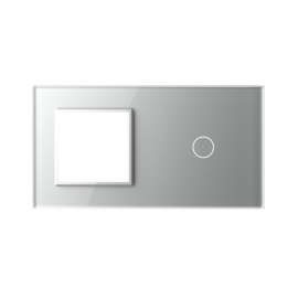 Livolo | Grey | Glass Panel  | Double | SR+1