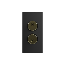 Livolo | Module | SR | Simple | Audio- Fiche banane | Noir