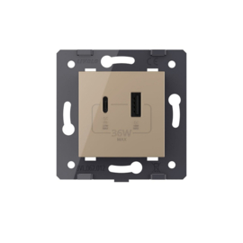 Livolo | Module | SR | USB + USB-C avec transformateur | Or