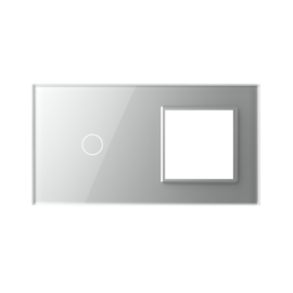 Livolo | Grey | Glass Panel  | Double | 1+SR