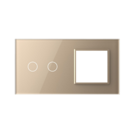 Livolo | Gold | Glass Panel  | Double | 2+SR