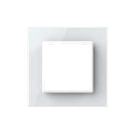 Livolo | White | Glass Panel  | Single | SR