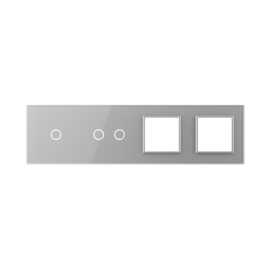 Livolo | Grey | Glass Panel  | Quintuple | 1+2+SR+SR