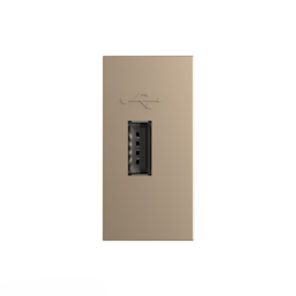 Livolo | Module | SR | Simple | USB 2.1A avec transformateur | Or
