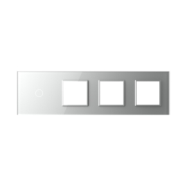 Livolo | Grey | Glass Panel  | Quintuple | 1+SR+SR+SR