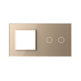 Livolo | Gold | Glass Panel  | Double | SR+2