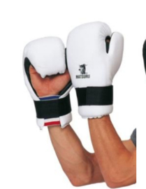Taekwon-Do Handbeschermers, kleur wit of zwart