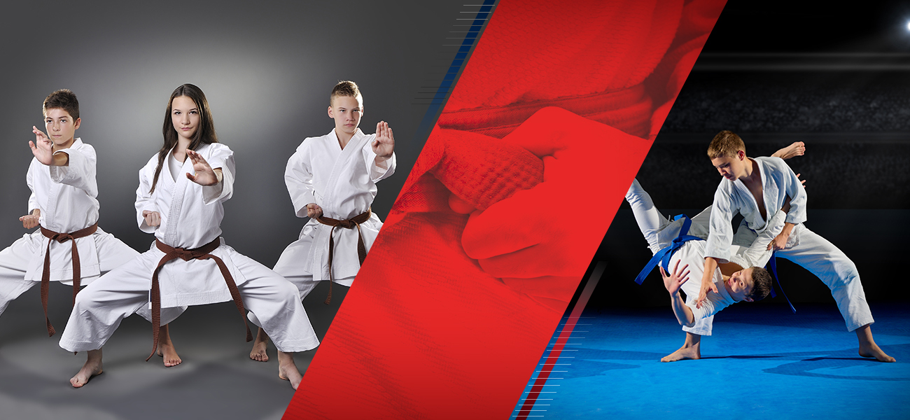 Adult Martial Arts