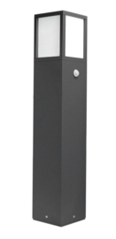 CMD 9018 Staande Buitenlamp met Bewegingssensor 65 cm